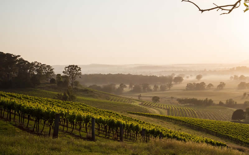 Hunter Valley Holiday Perth